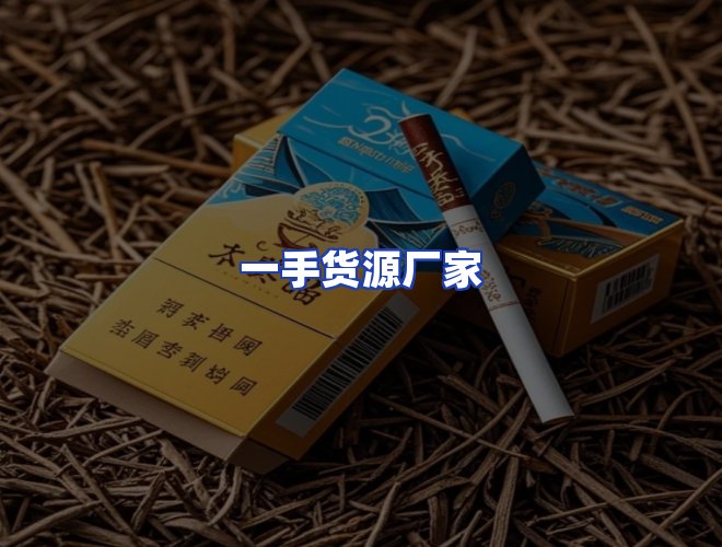 专业团队